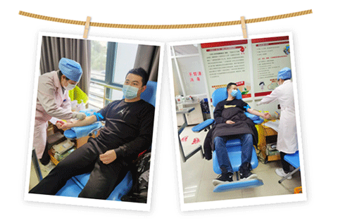 威尼斯9499登录入口(中国)有限公司官网