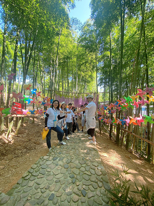 威尼斯9499登录入口(中国)有限公司官网